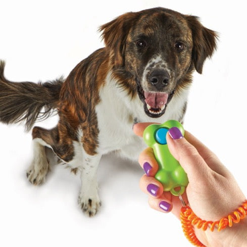 Brightkins Pet Training Clickers